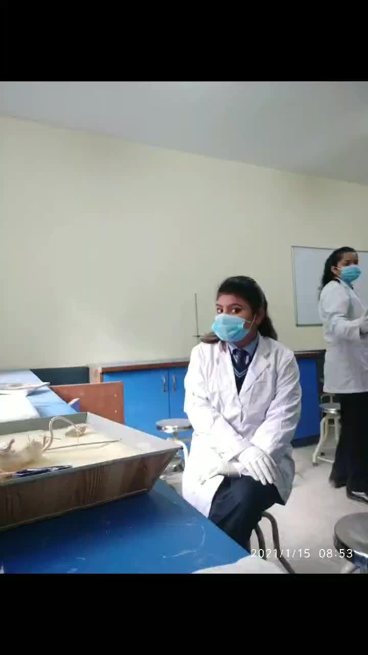 @YadavNisha