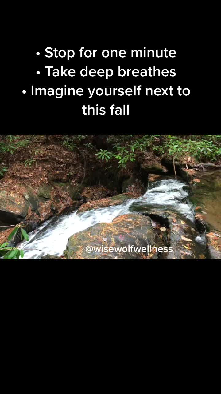 @WiseWolfGuru