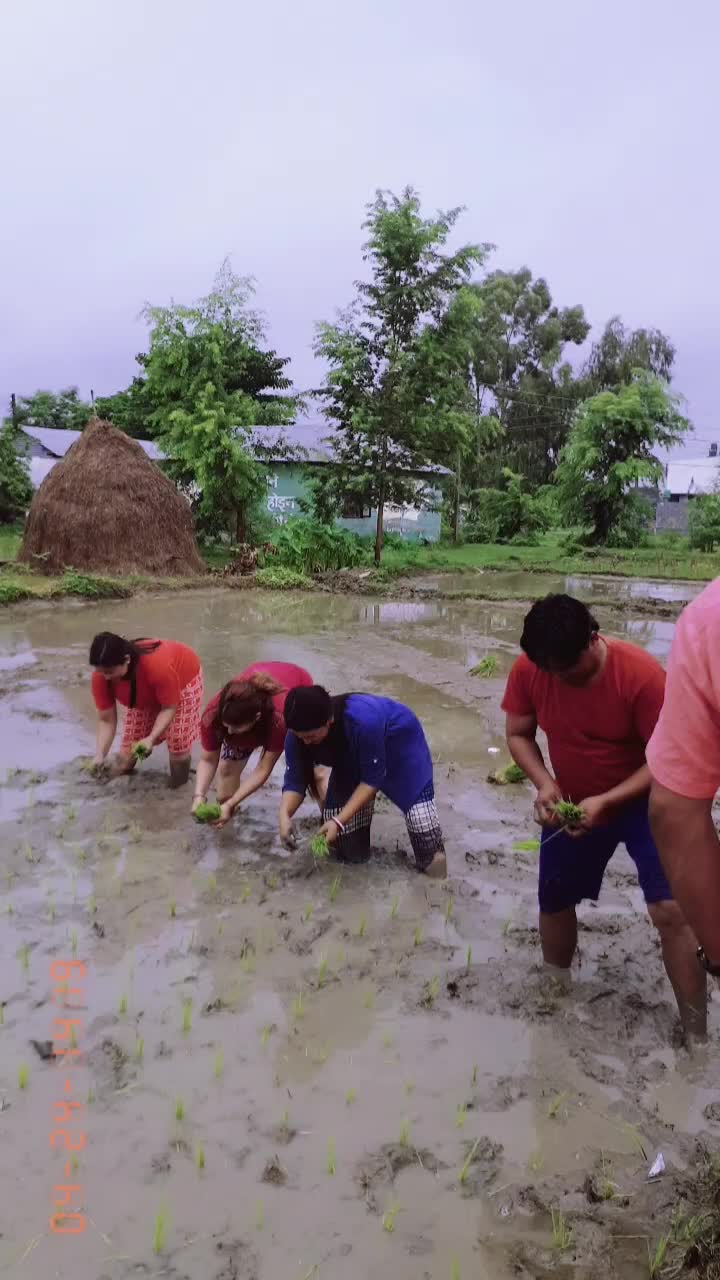 @shova khadka 123