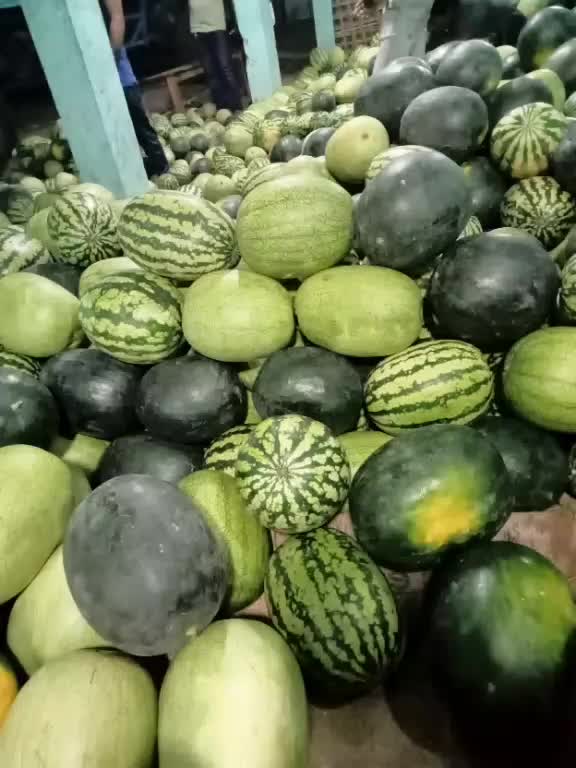 @user94125093754