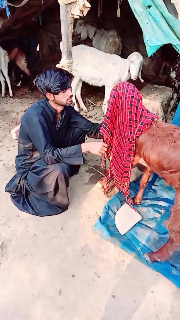 @bugti