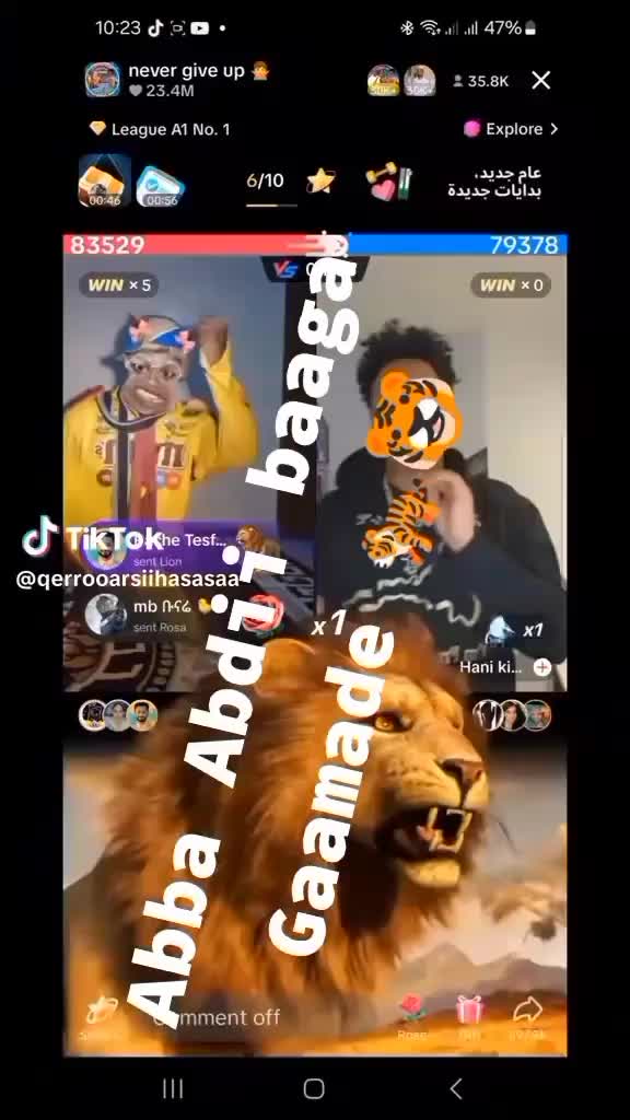 @Noor Aldeen391