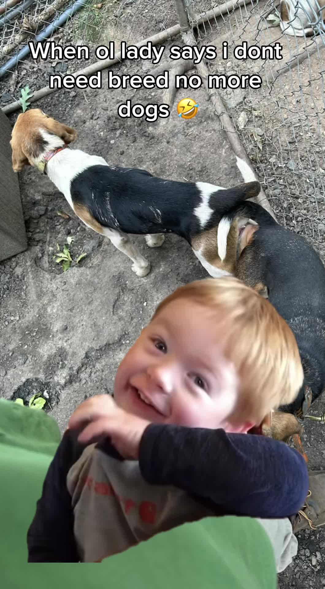 @Under the fence kennels