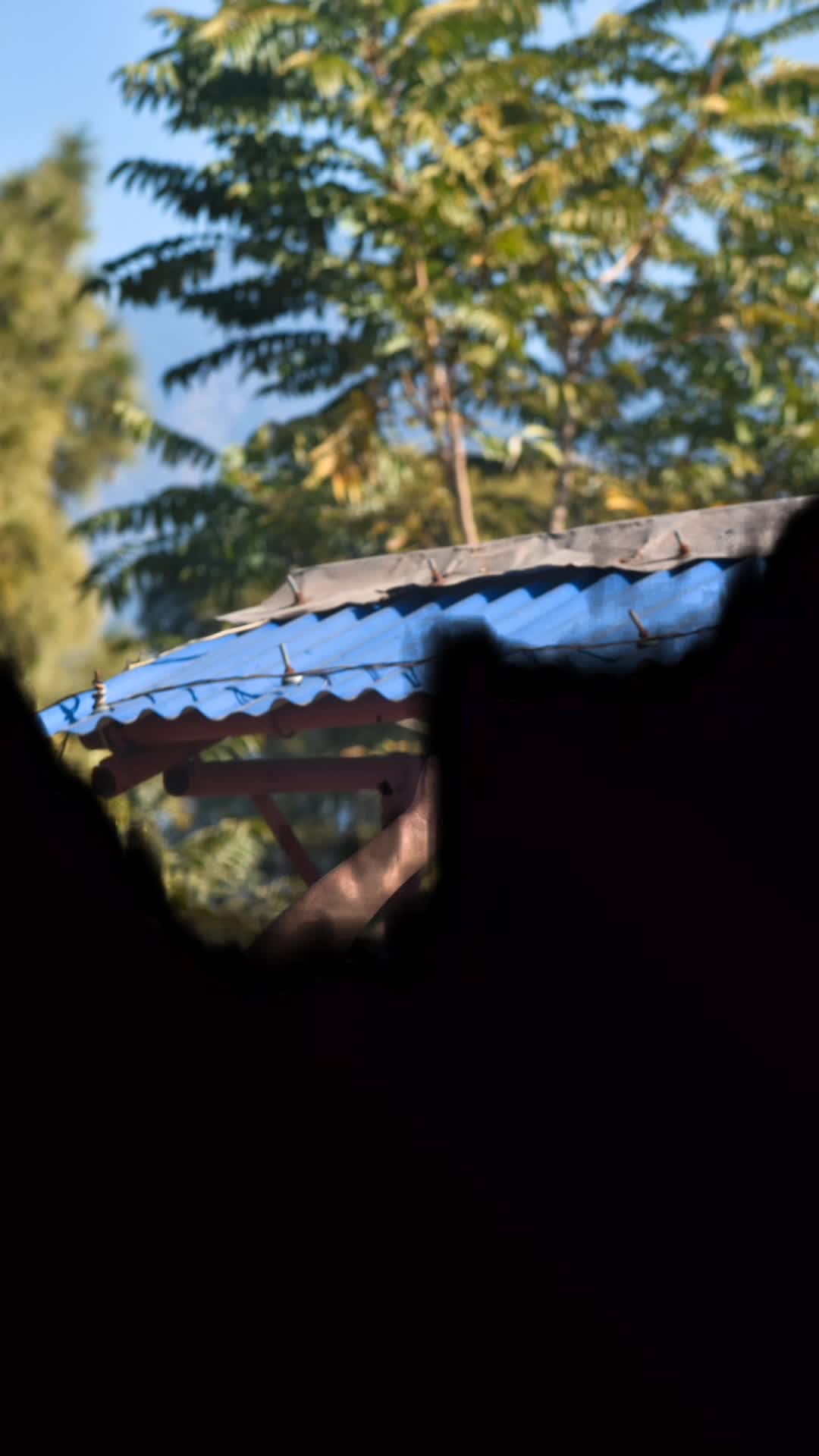 @🗣️<~k..~>🥷