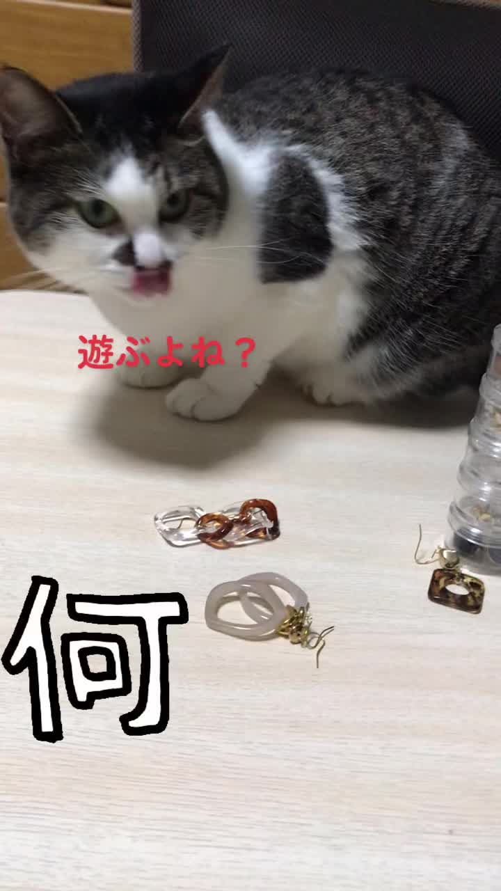 @rinyumi