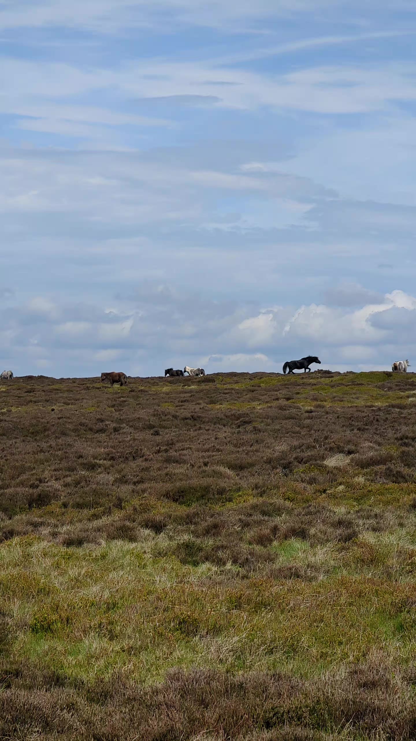 @John Abell