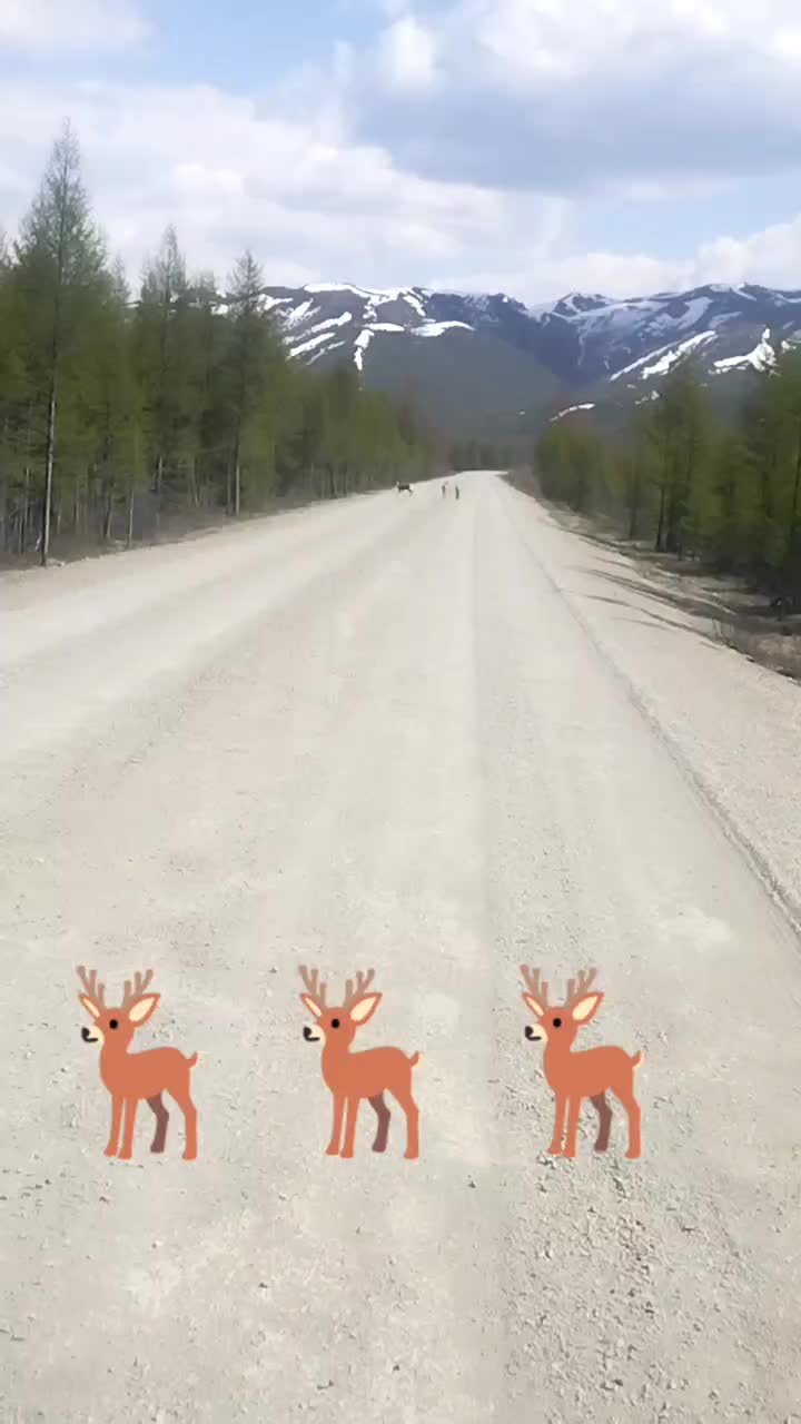 @Ден