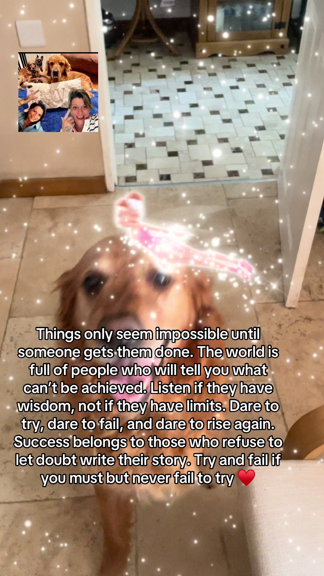 @Happy buddy