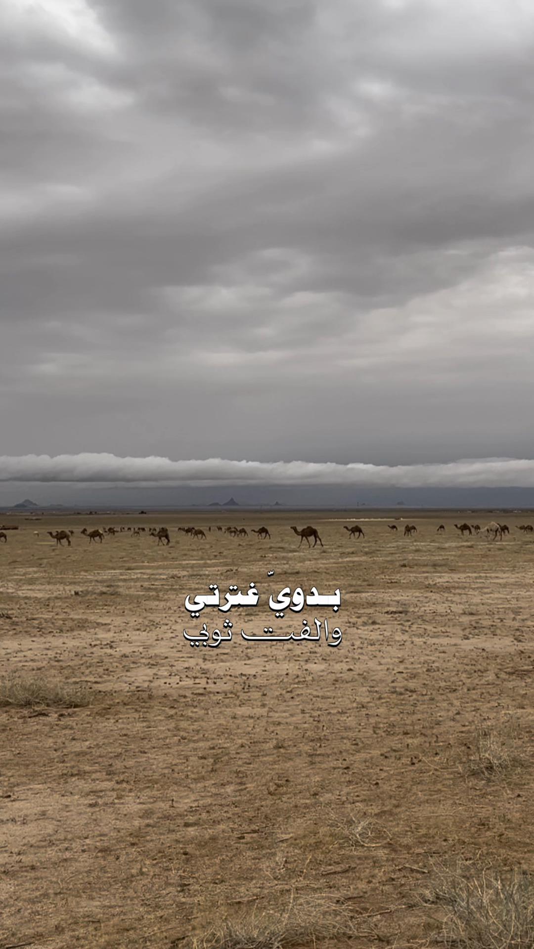 @﮼هدى،الحربي 📸💥