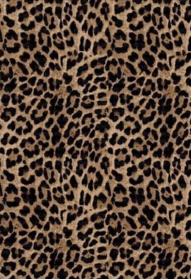 @💗࡛ an̄iya̱h⊹ 🐆