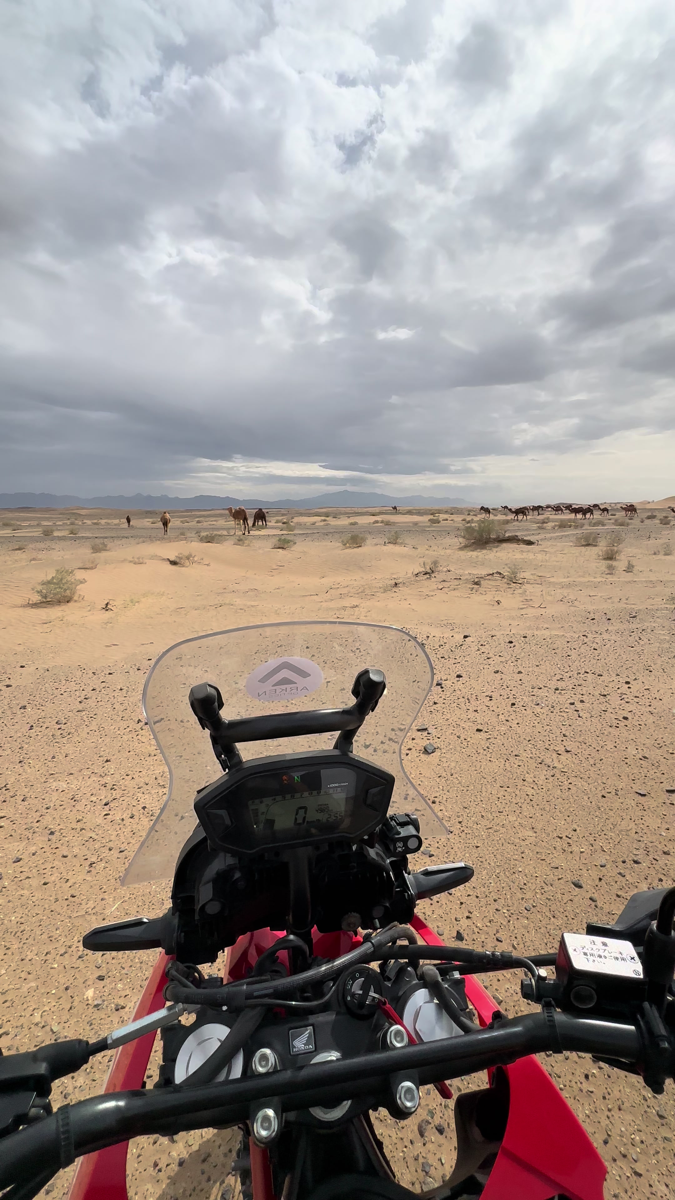 @بلوچستان عشق است 🐪🏜️🪶