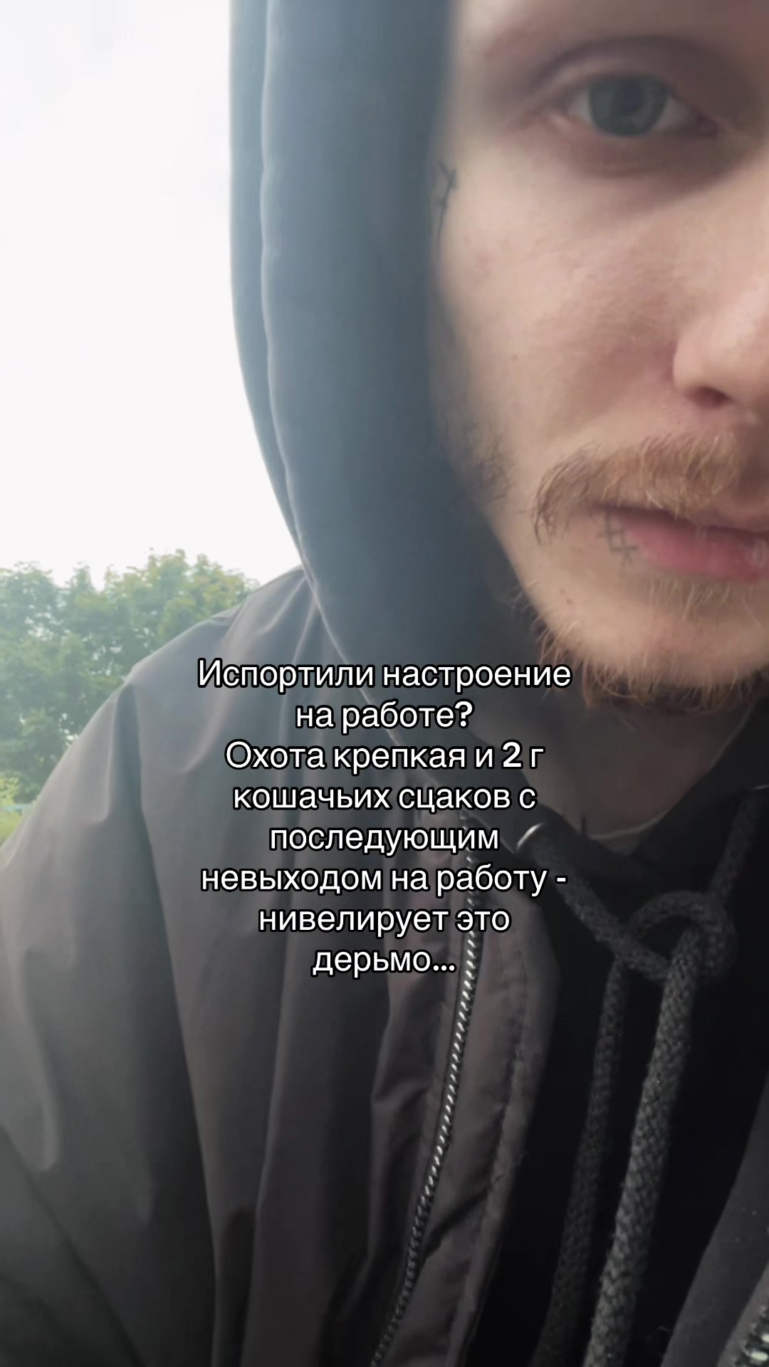 @Диспут закрыт в пользу шопа