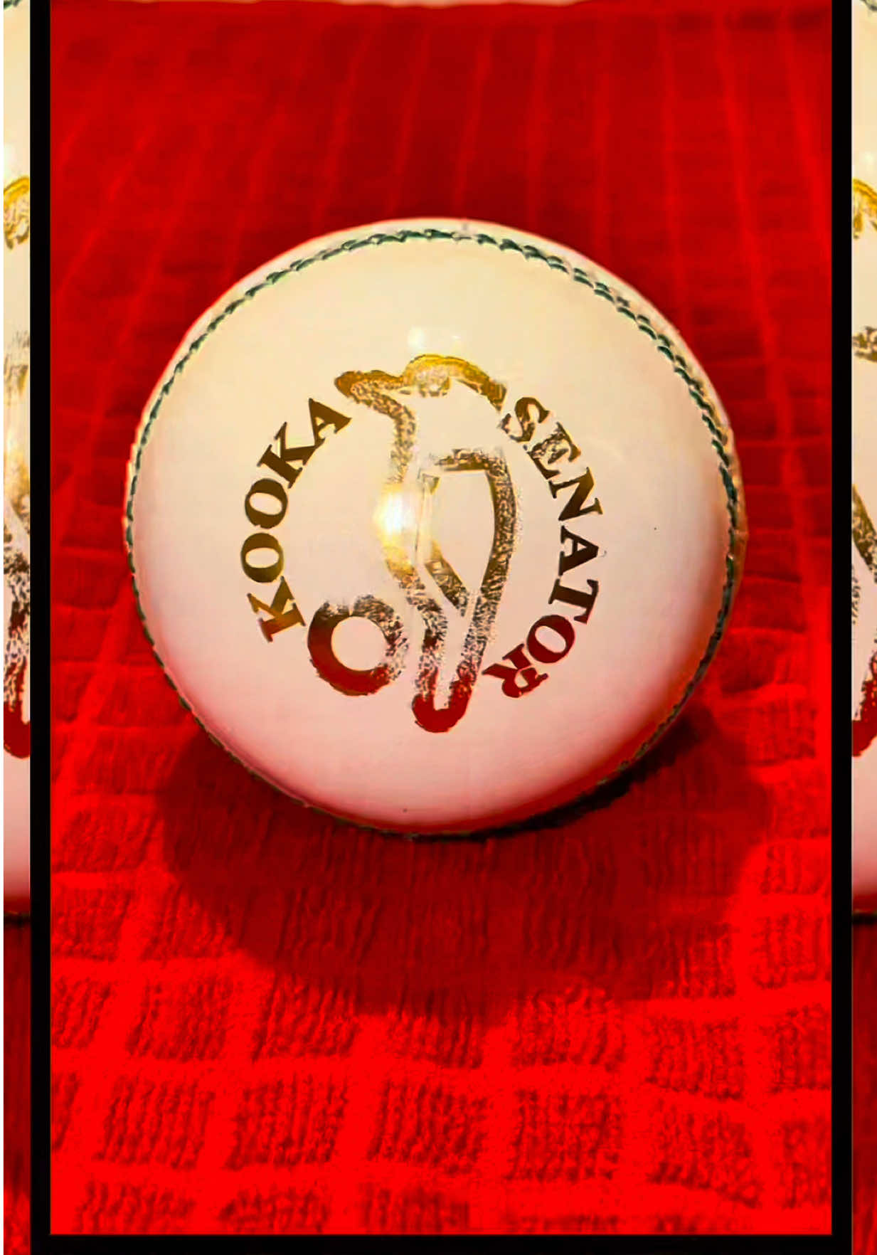 @calgary cricket (CCCS)