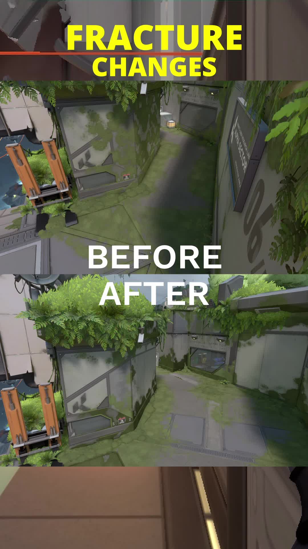 @ValorLeaks