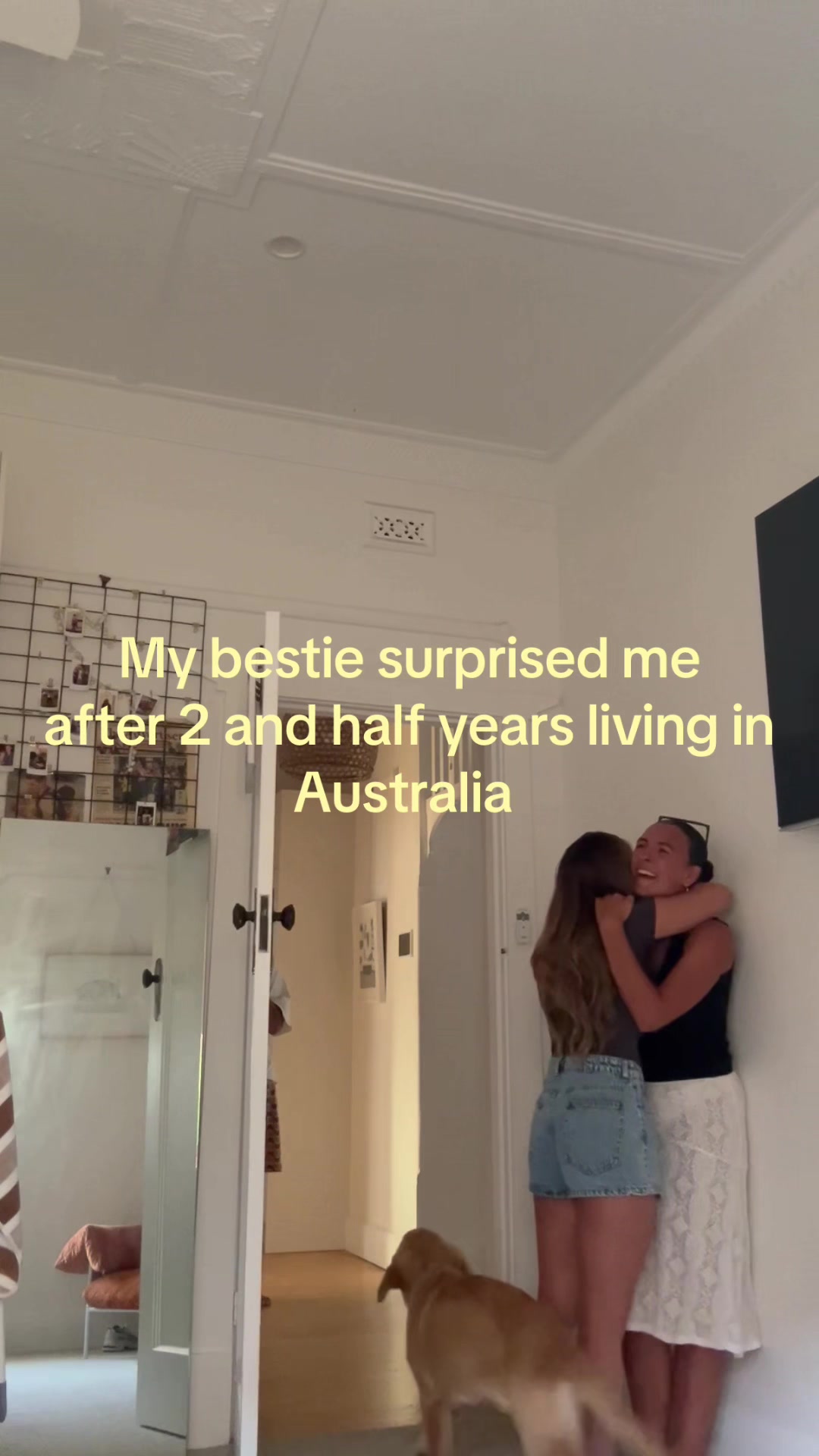 @Tia Taylor