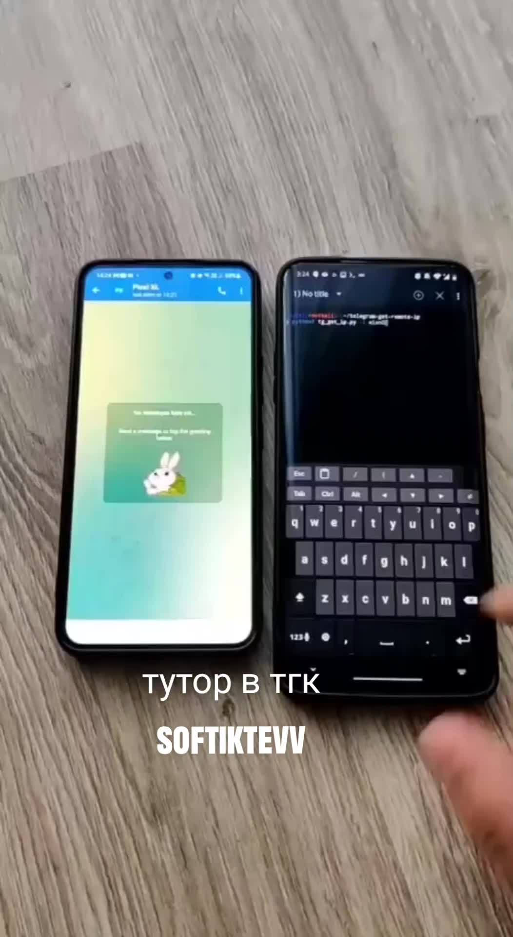 @tgk: @softiktevv