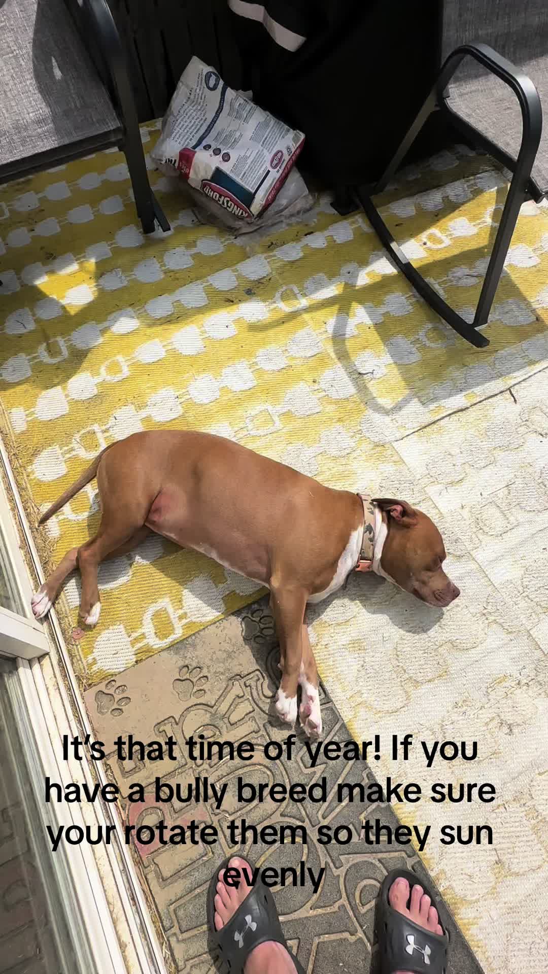 @Cc