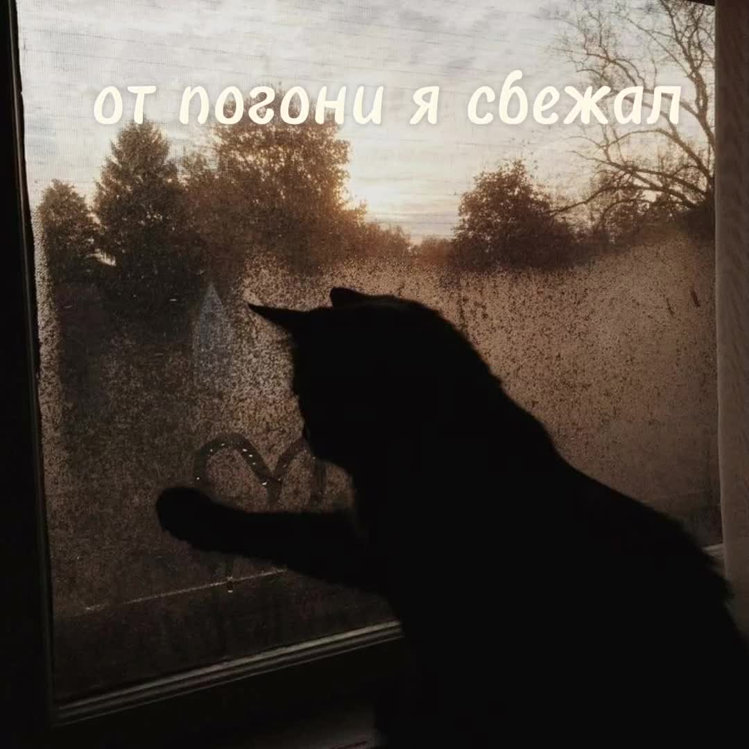 @радиом/\ньяк