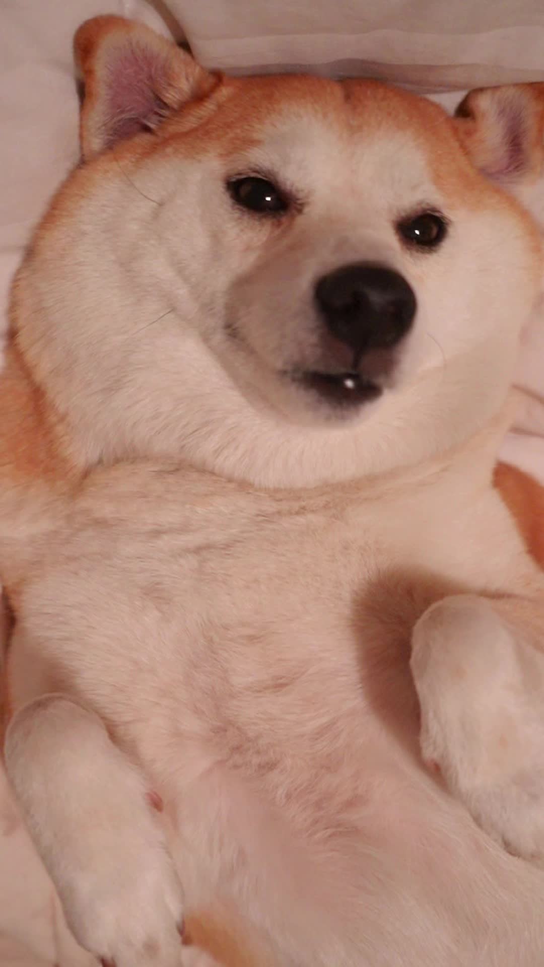 @Sharokinaaa