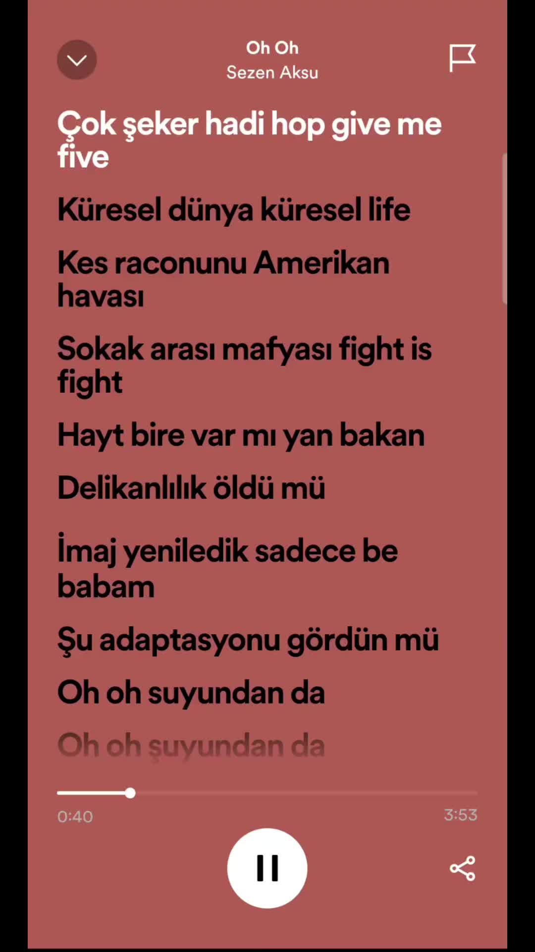 @spotifyy top
