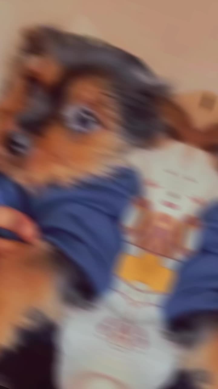 @omnitinker