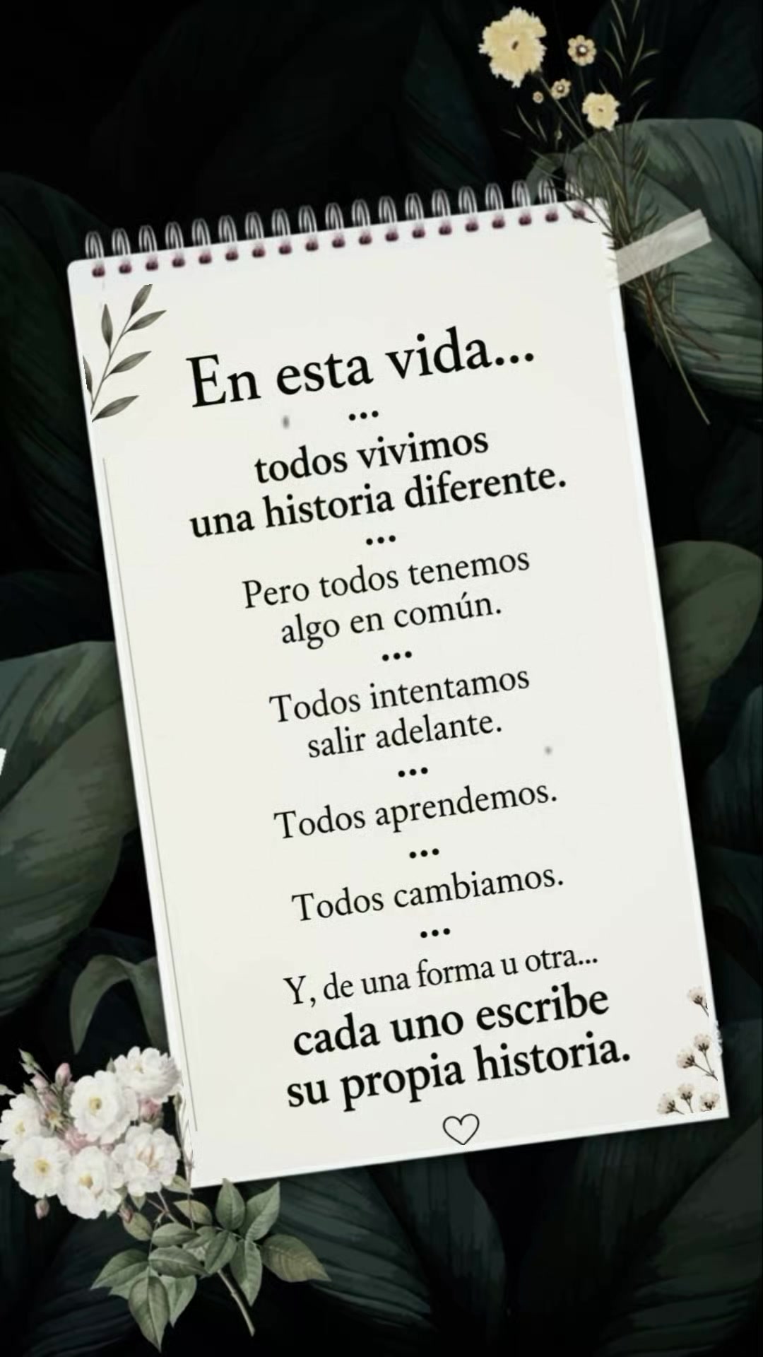 @🦋 Teresitaa🦋