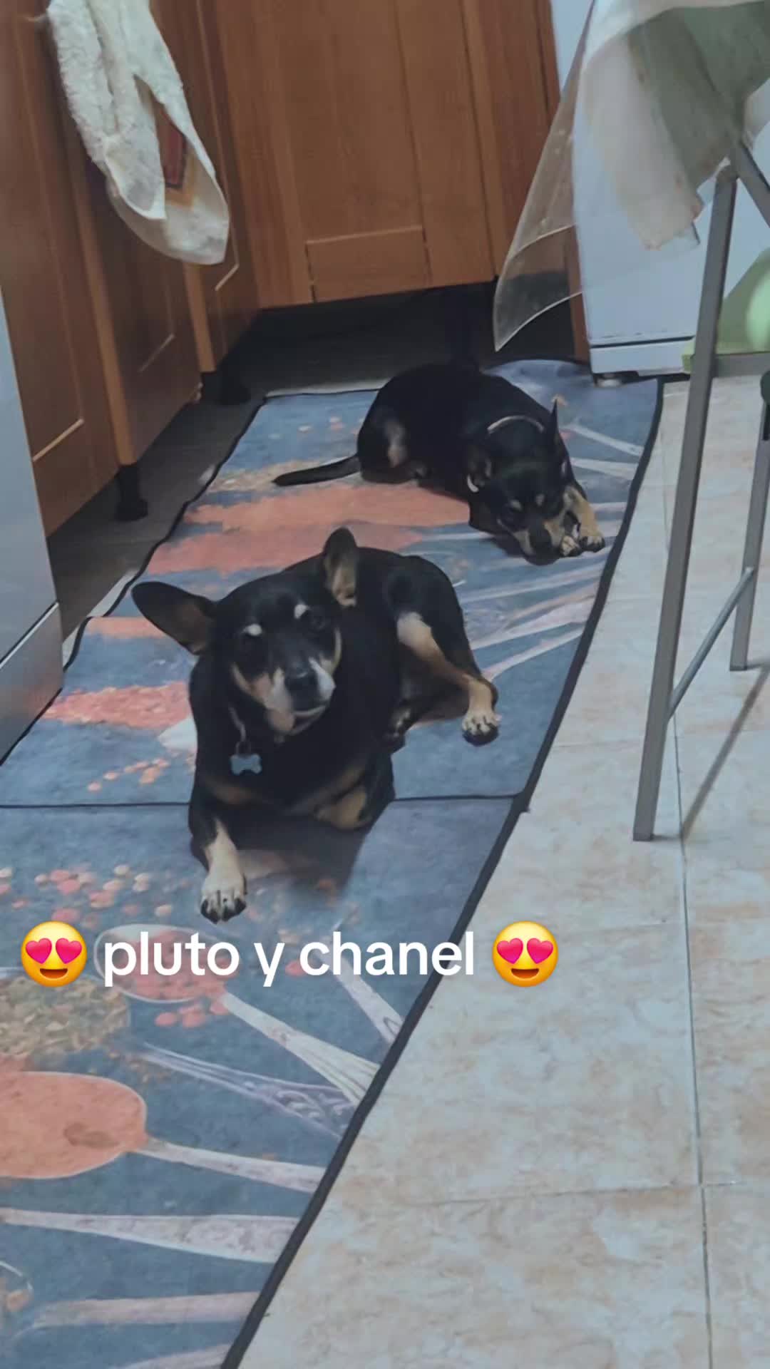 @AntoCM💕