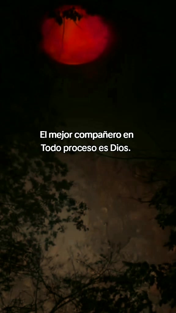 @frases para dedicar ❤