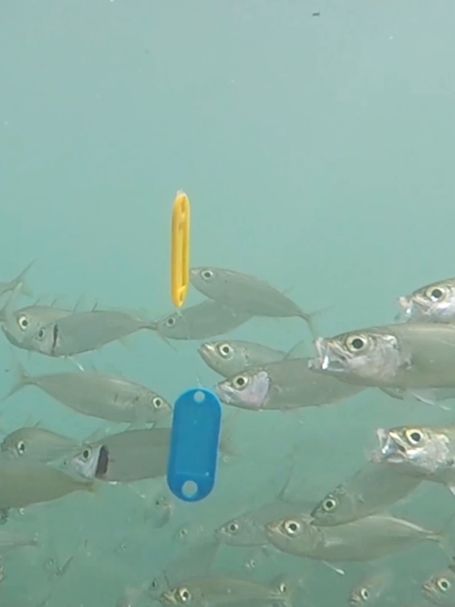@Gene Fishing Tv