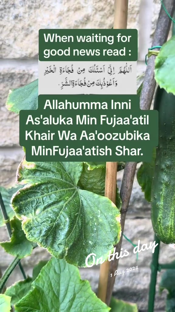 @maqrafiq