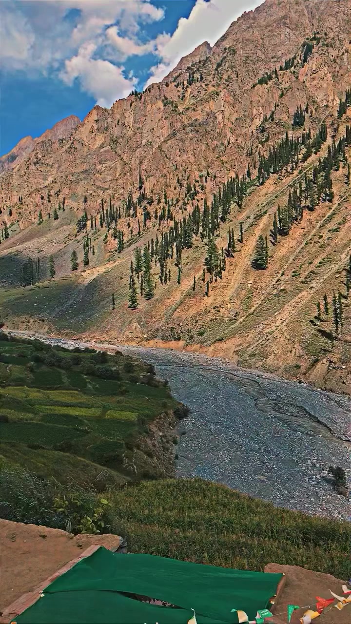@VILLAGE_VIBES 1