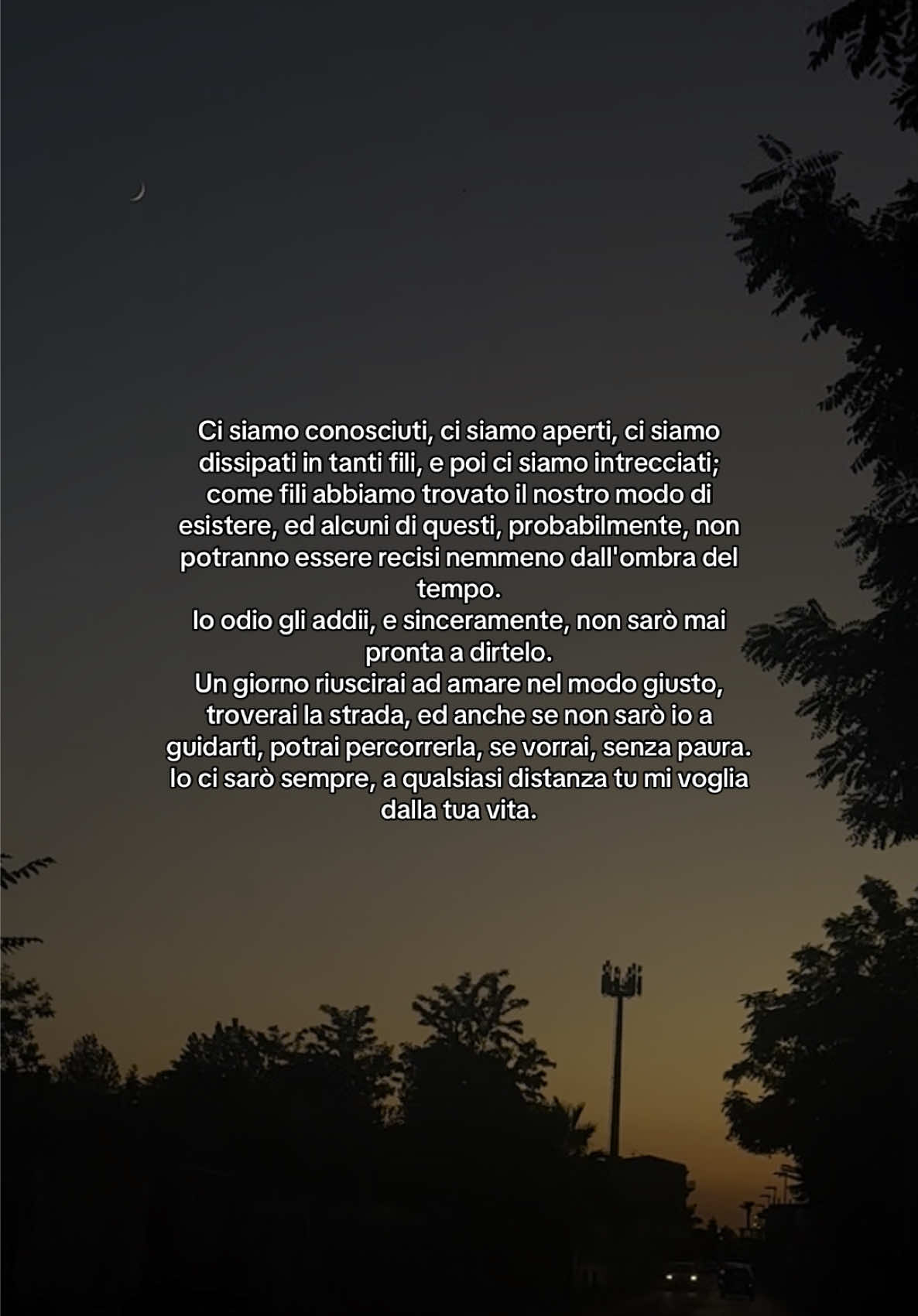 @🌙