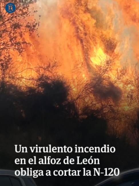 @leonoticias_