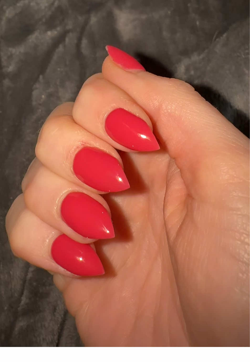 @Rose.thorn.black