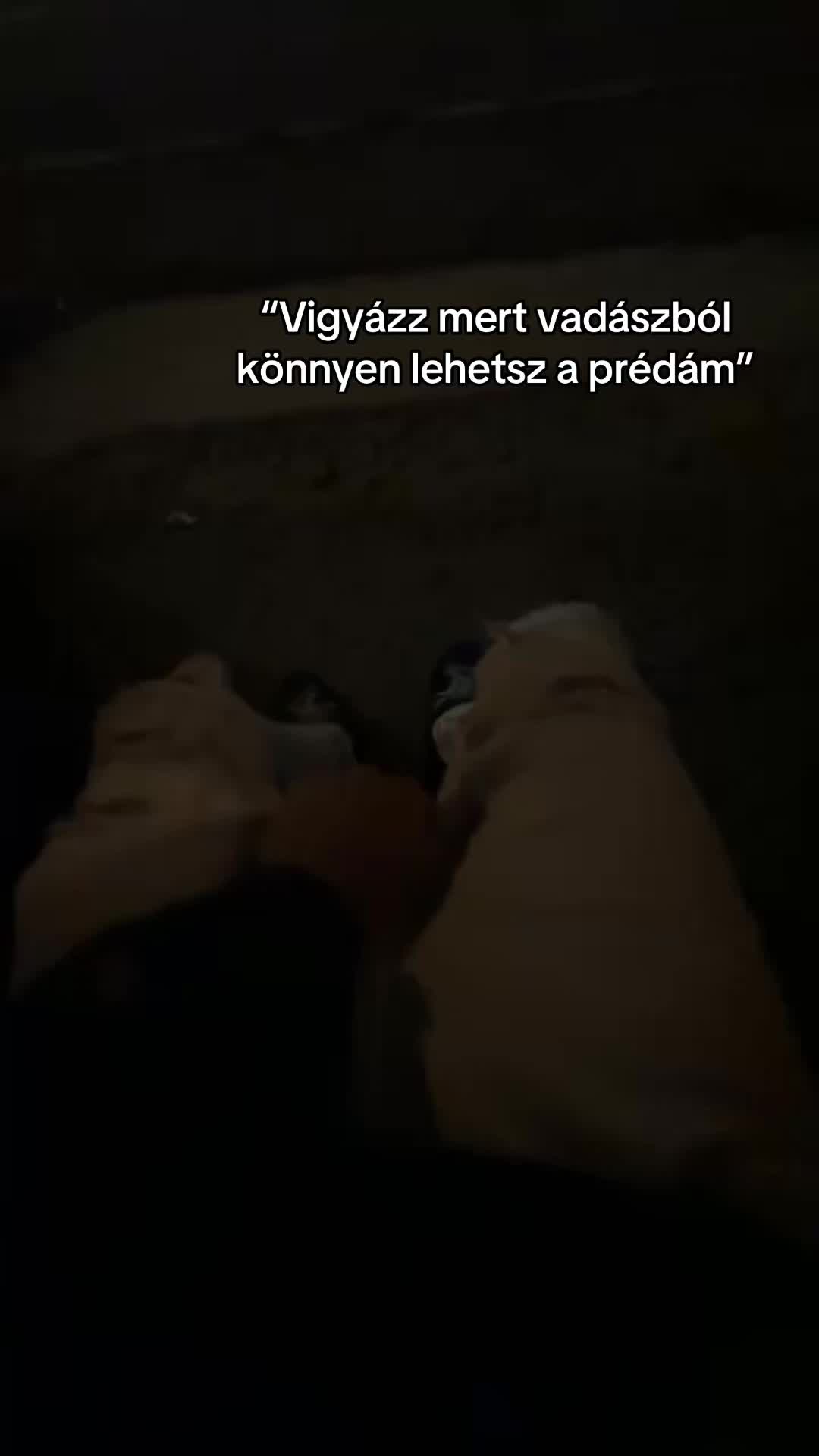 @stefaszilardd