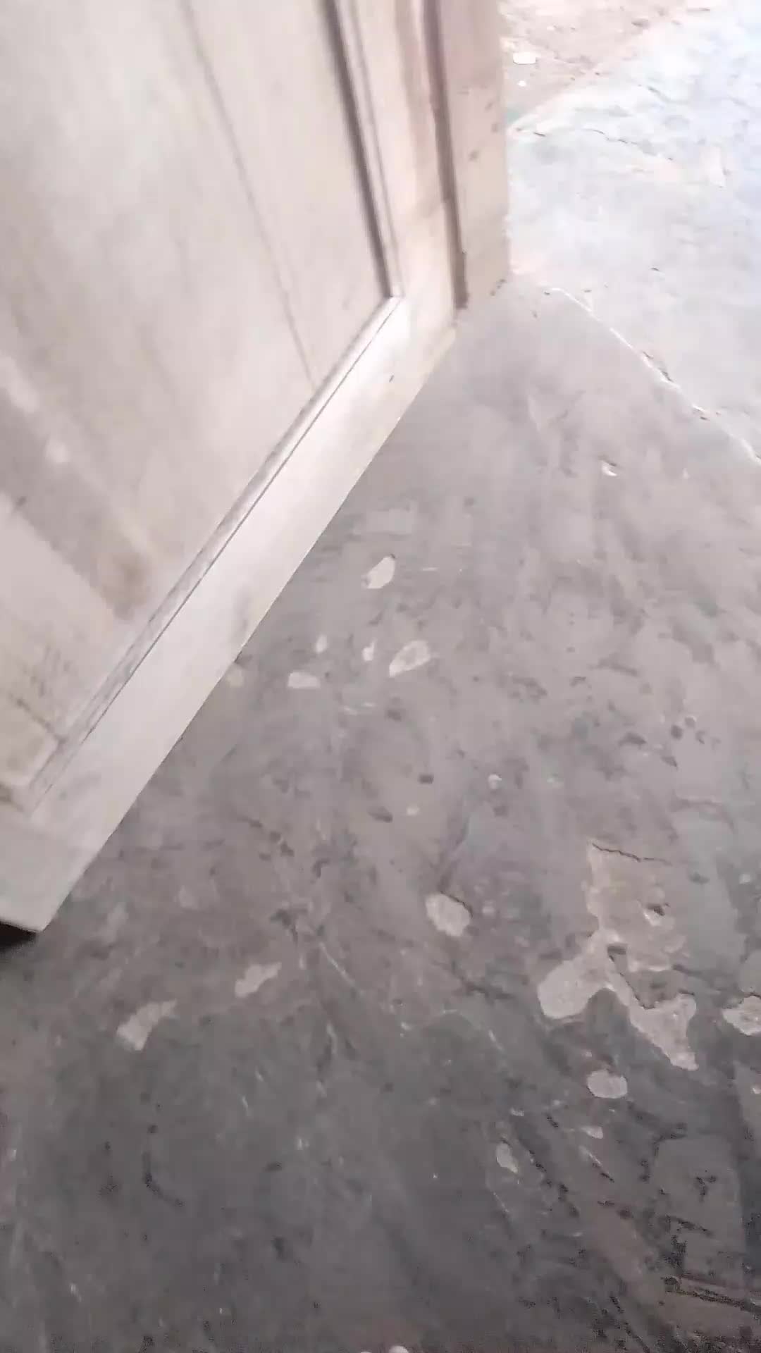 @Arastorttbb