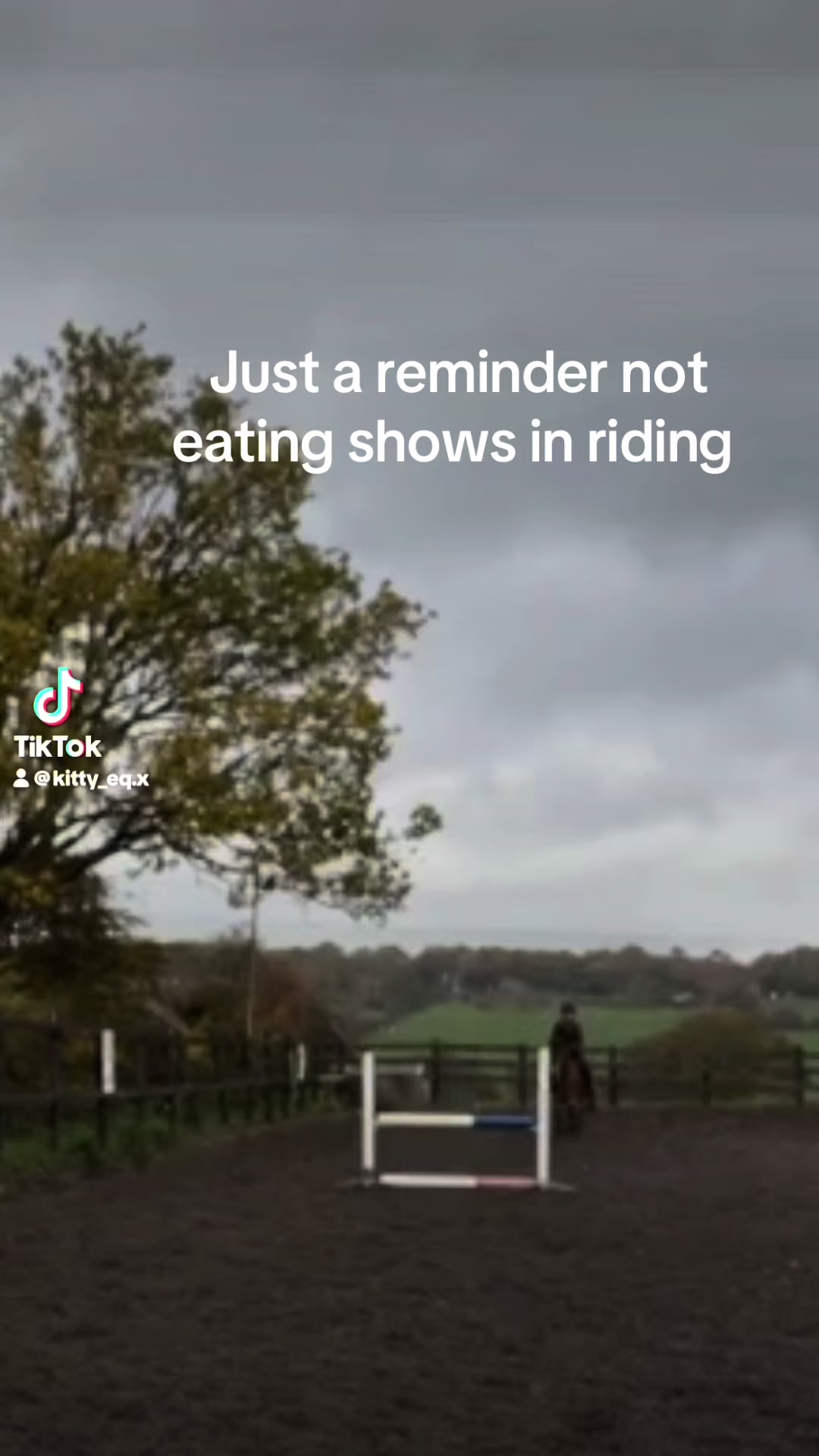 @Kitty equestrian.