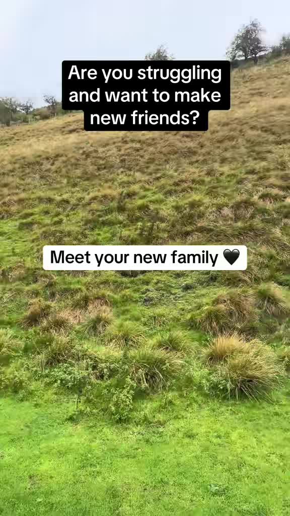 @Lifted Spirits Community