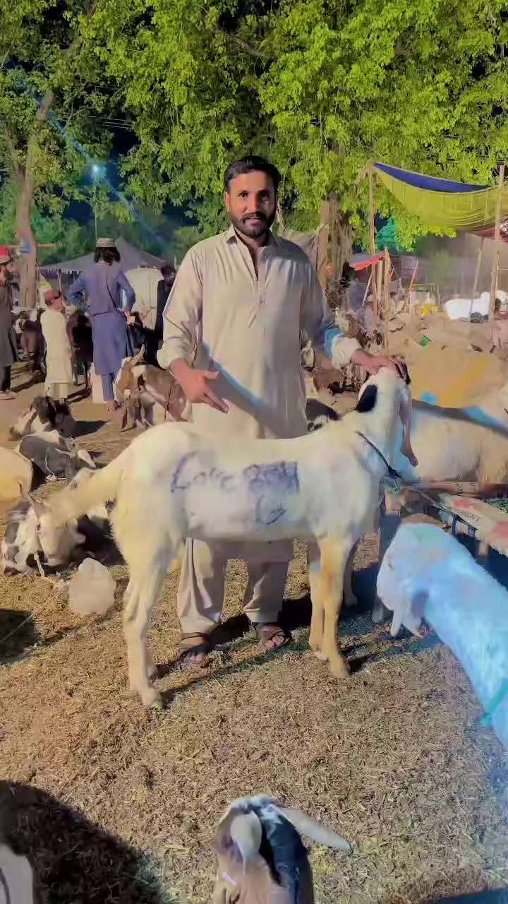 @Raja Khurram