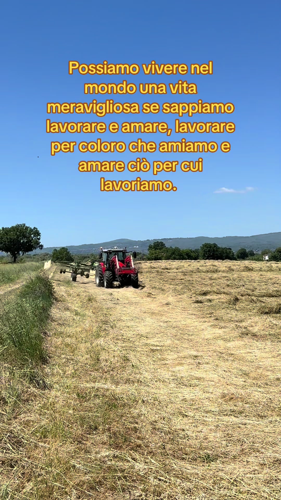 @Mihaela Erbaru