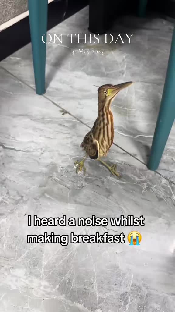 @Underrated Moments
