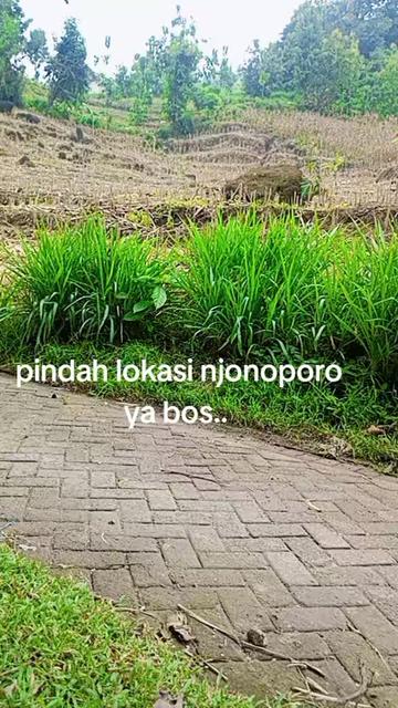 @CAH GANTENG