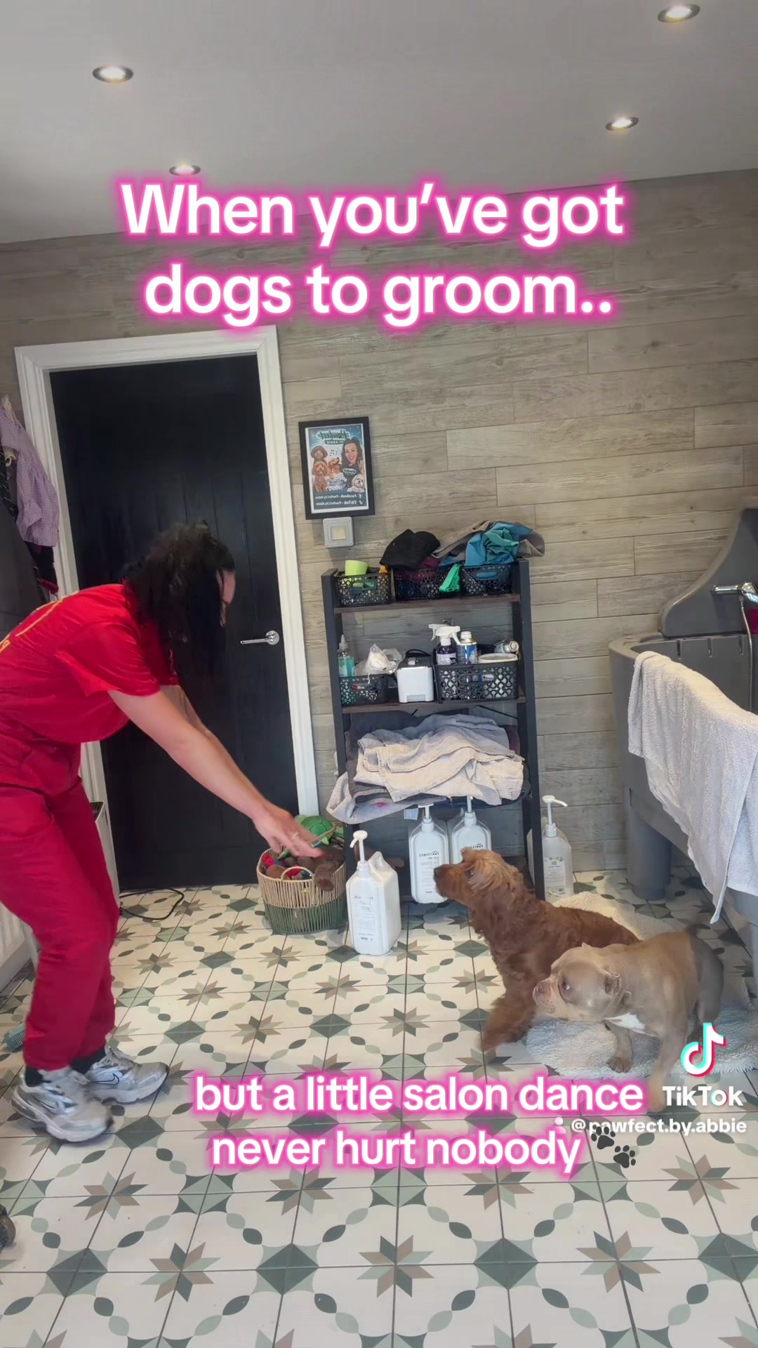 @Pawfect By Abbie
