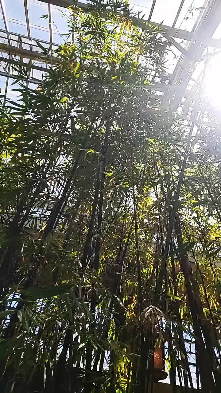 @user1986483976510