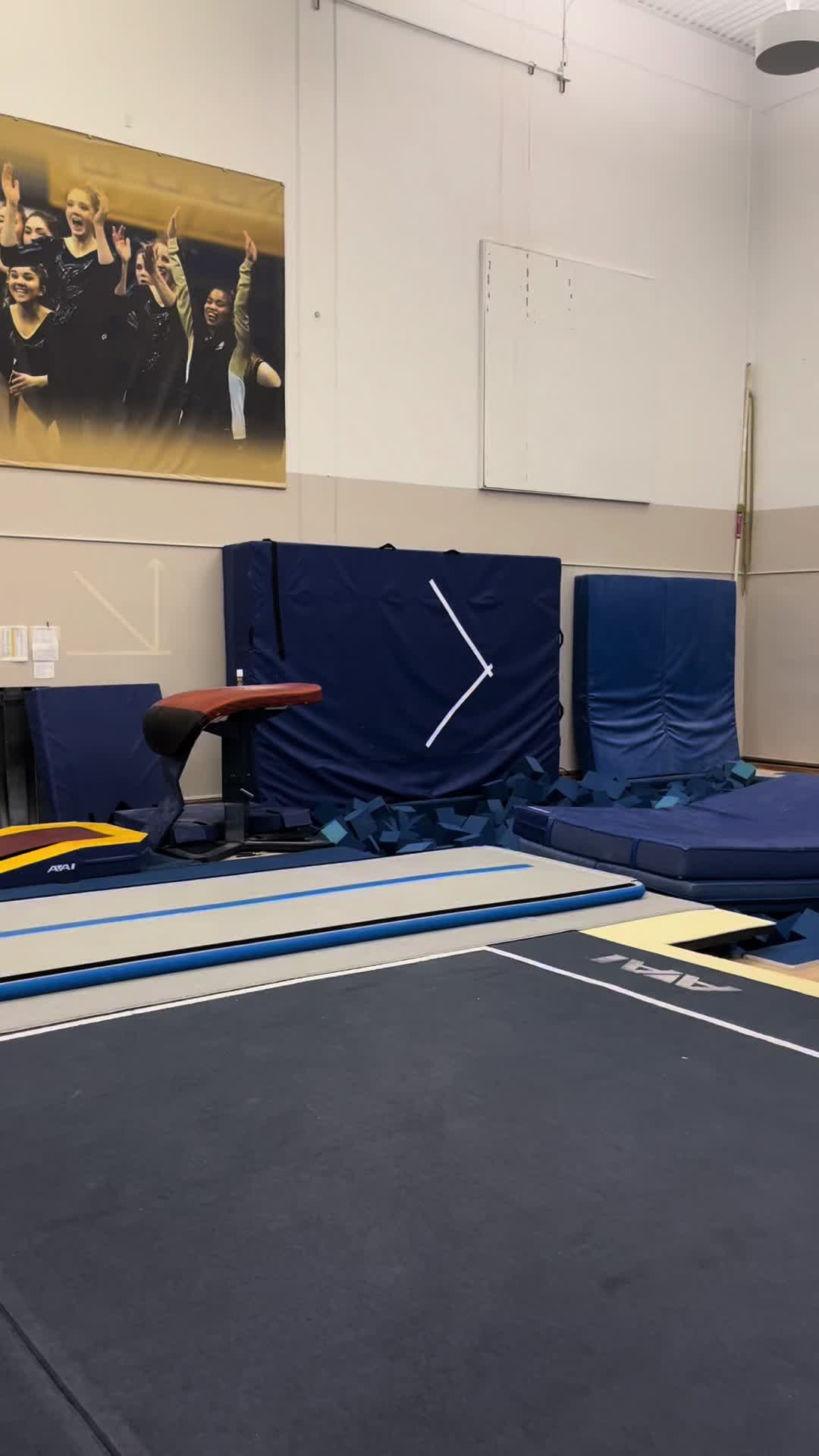 @UC Davis Gymnastics