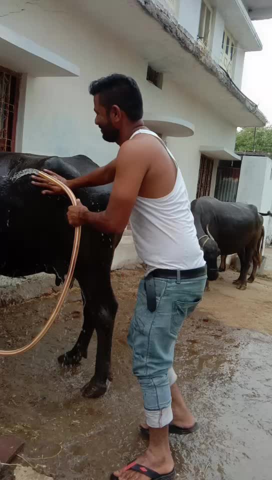 @kamlesh parmar