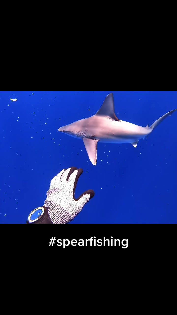 @kairosspearfishing