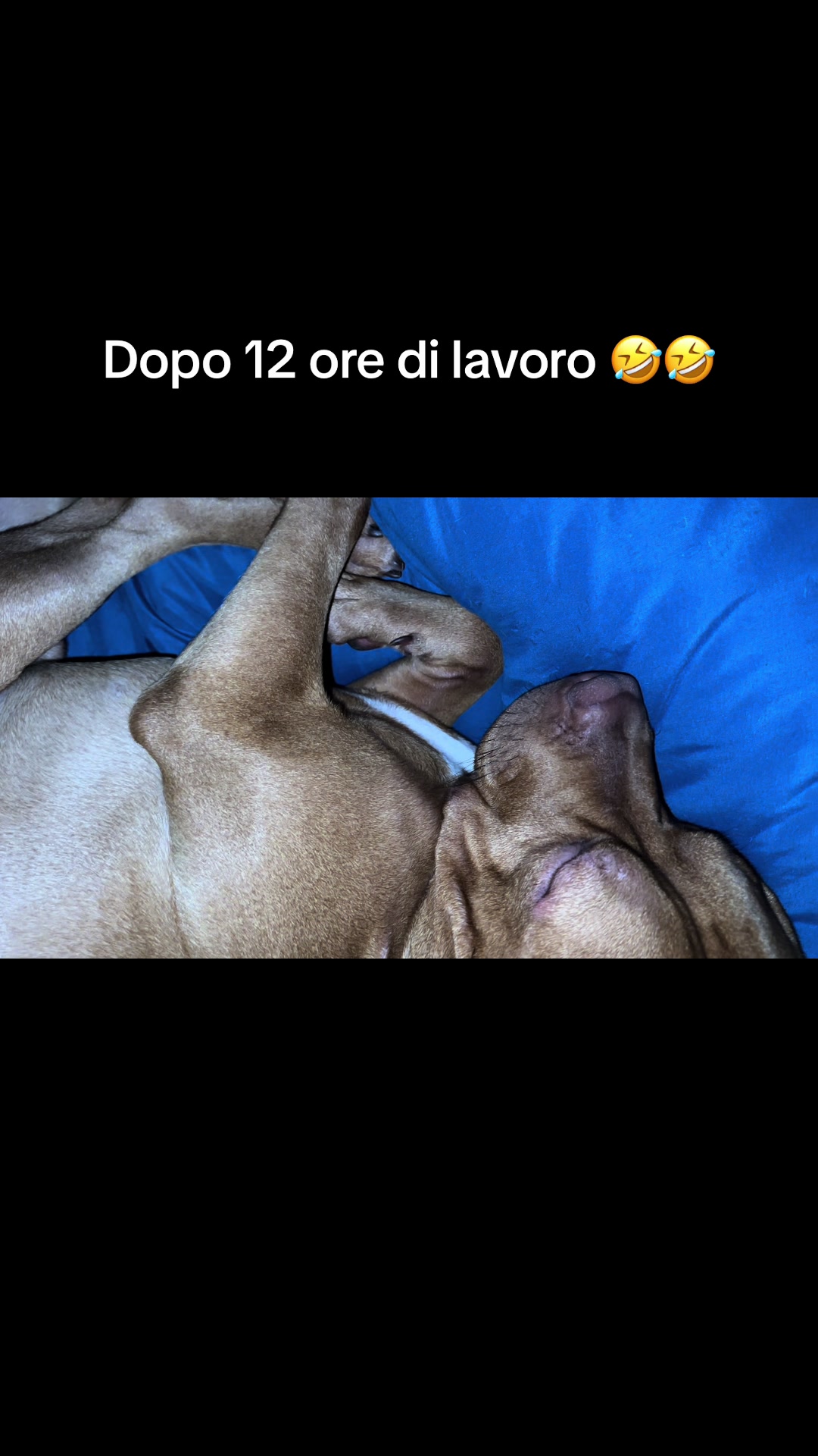 @asiaesposito99_