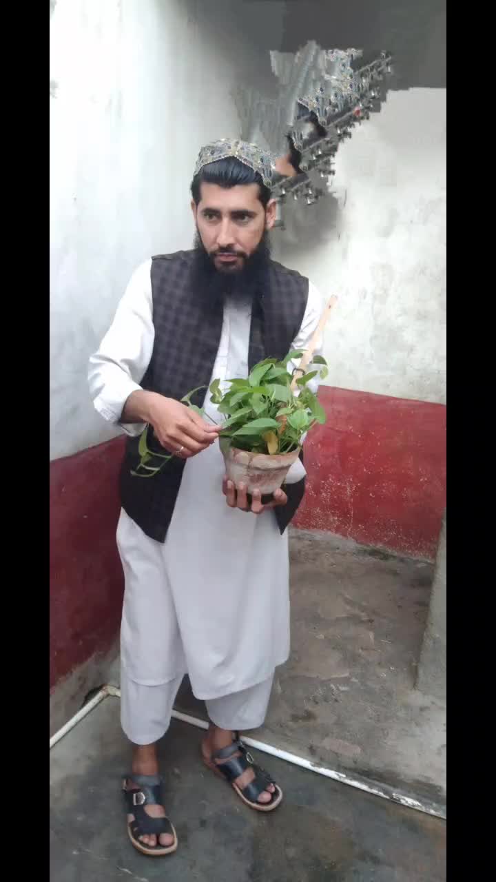 @NAVEEDKHAN