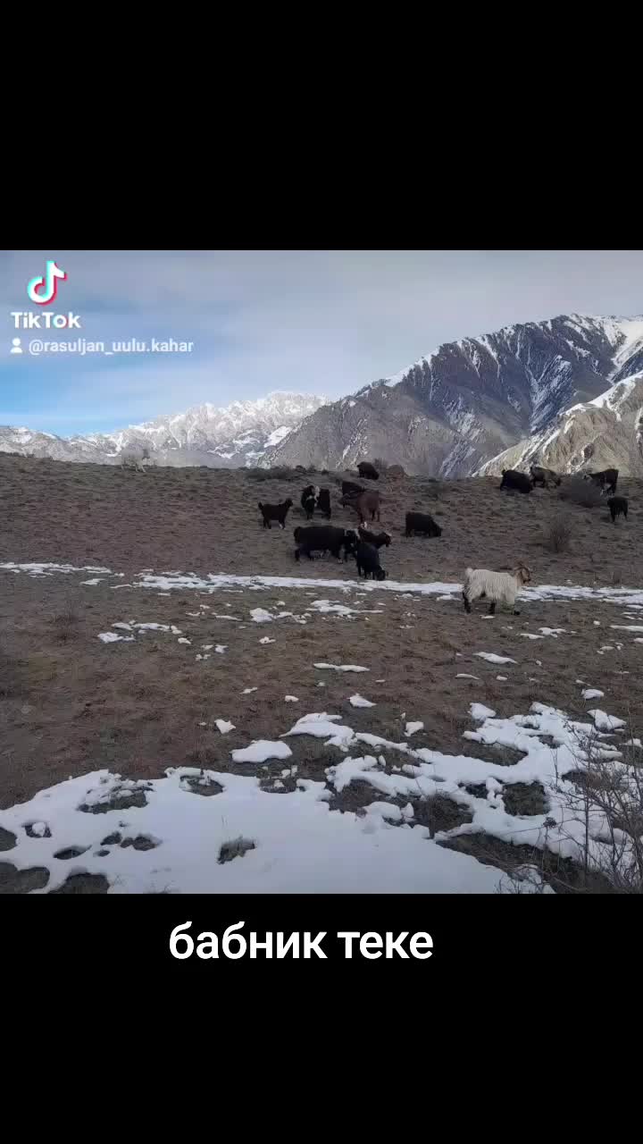 @Kahar__